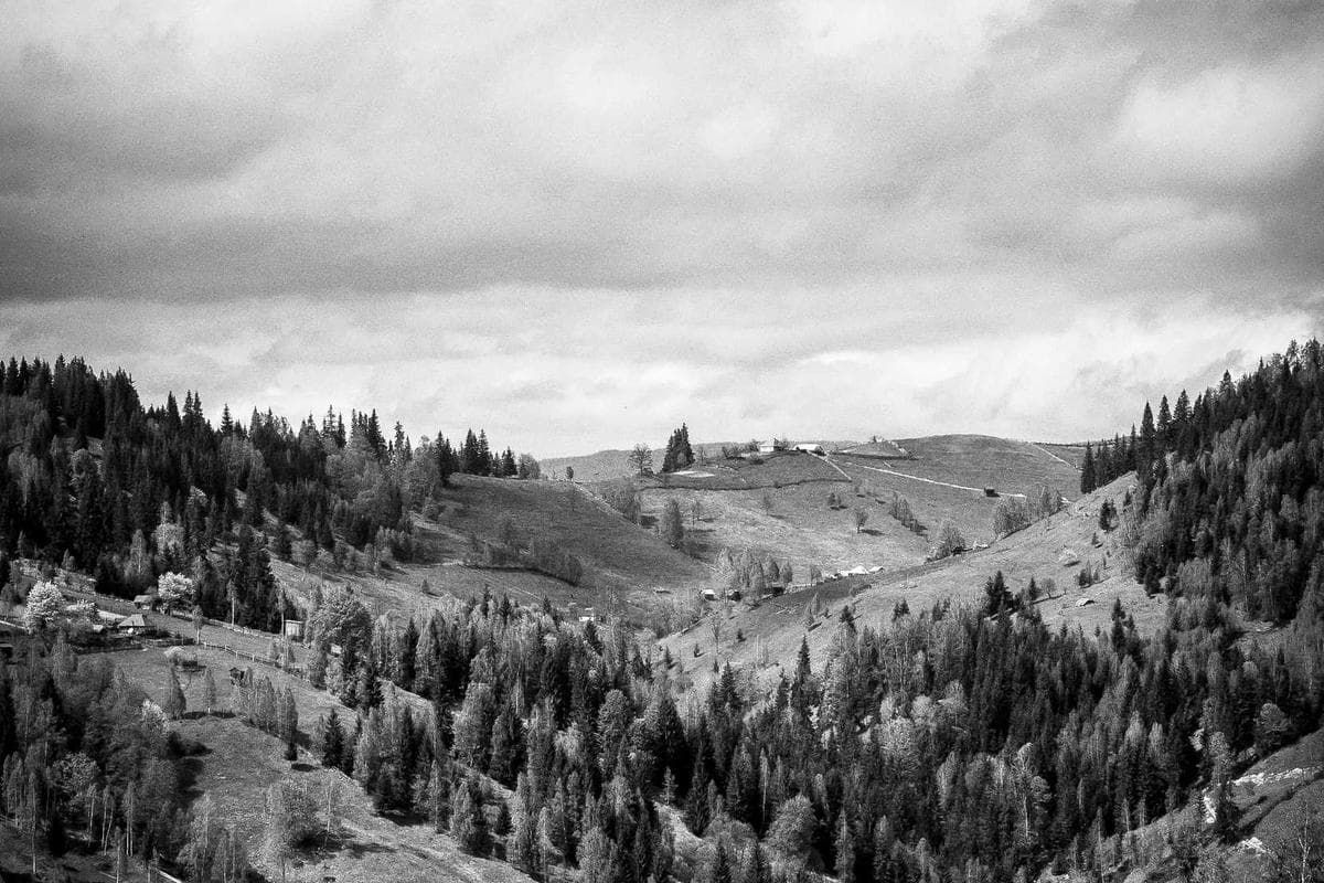 Sample Music Indie Showcase 16