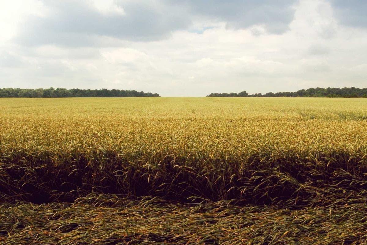 Sample Arts & Theater Urban Festival 23