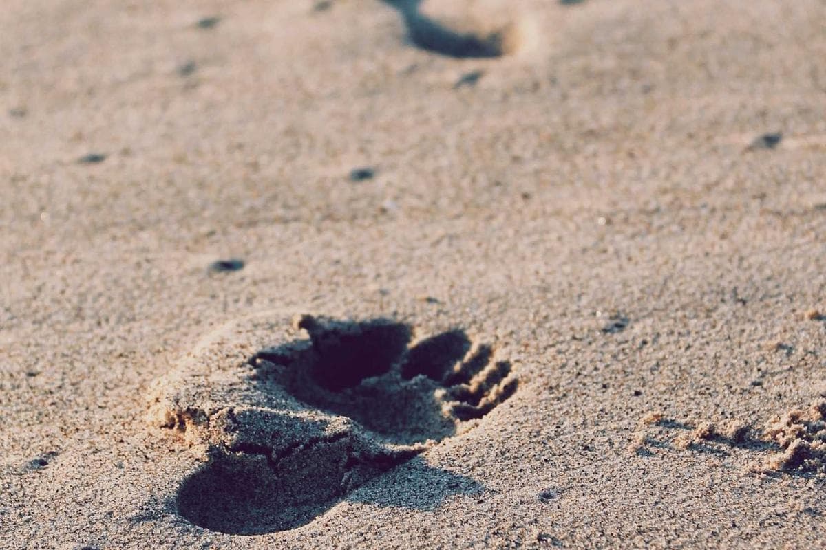 Sample Arts & Theater Coastal Series 28