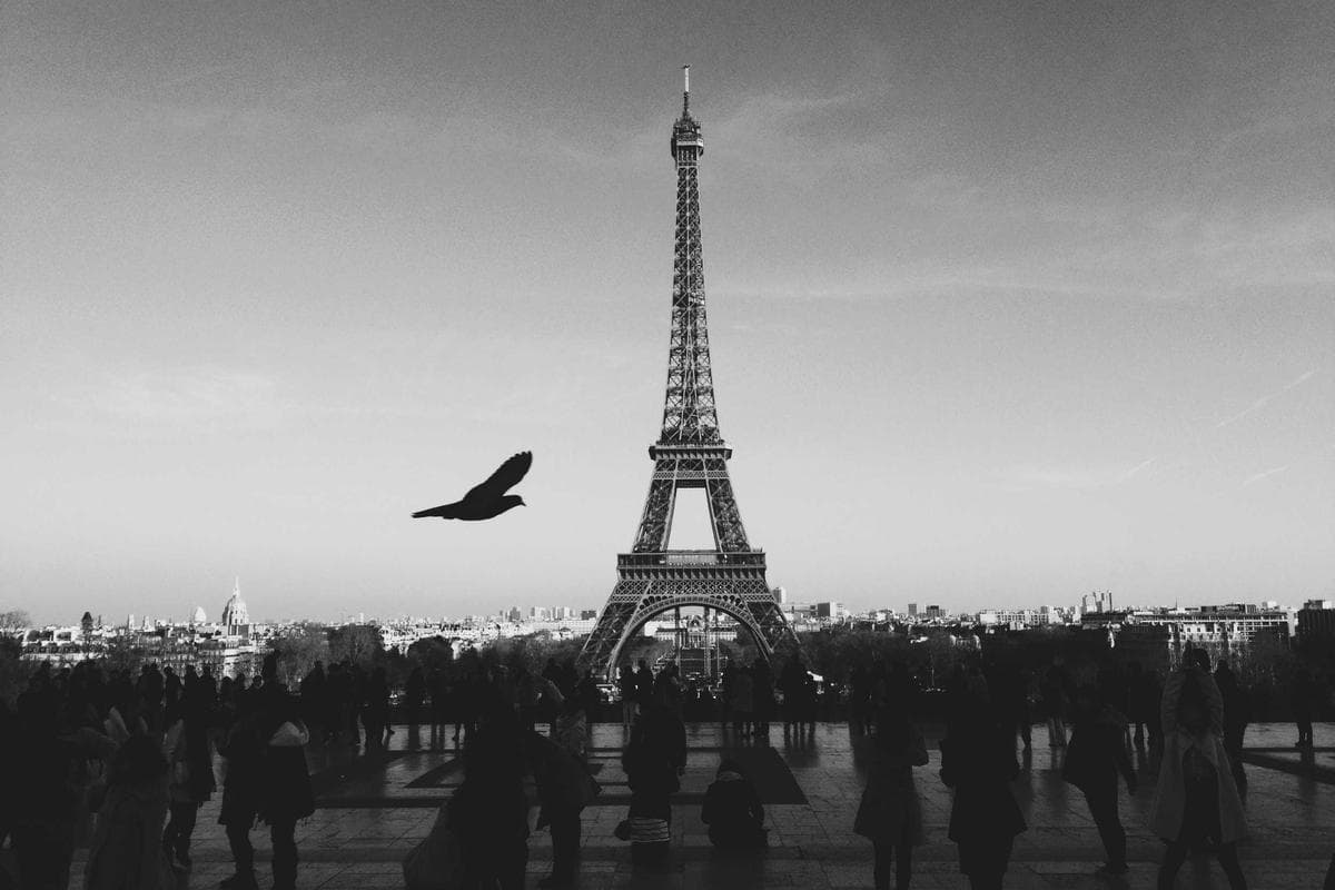 Sample Arts & Theater Midnight Summit 3