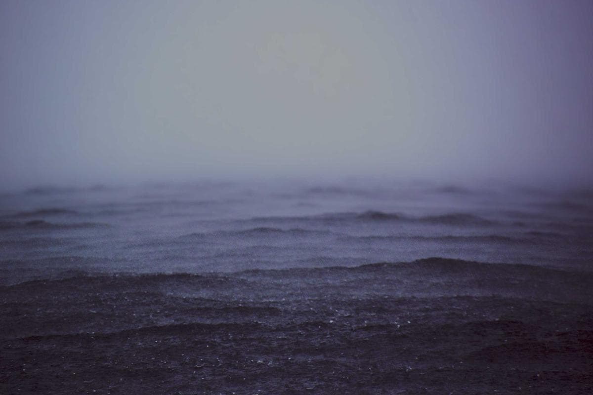 Sample Music Urban Festival 31