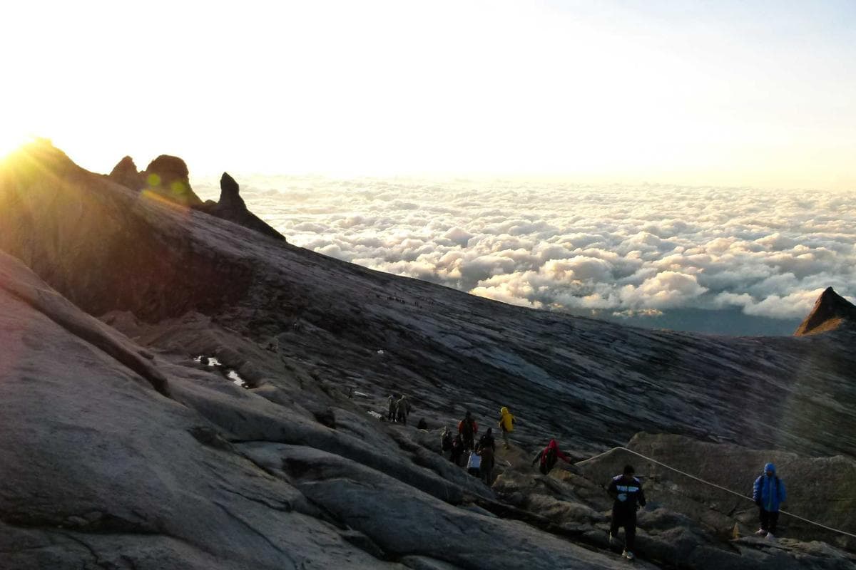 Sample Family Midnight Summit 35