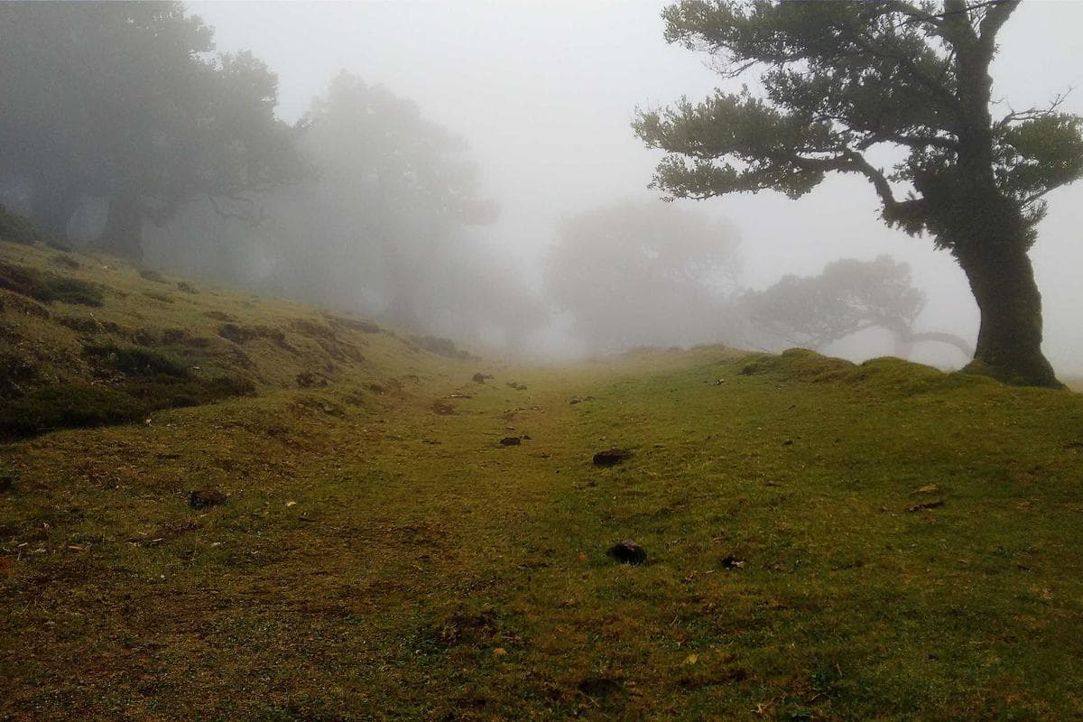 Sample Sports Electric Night 57