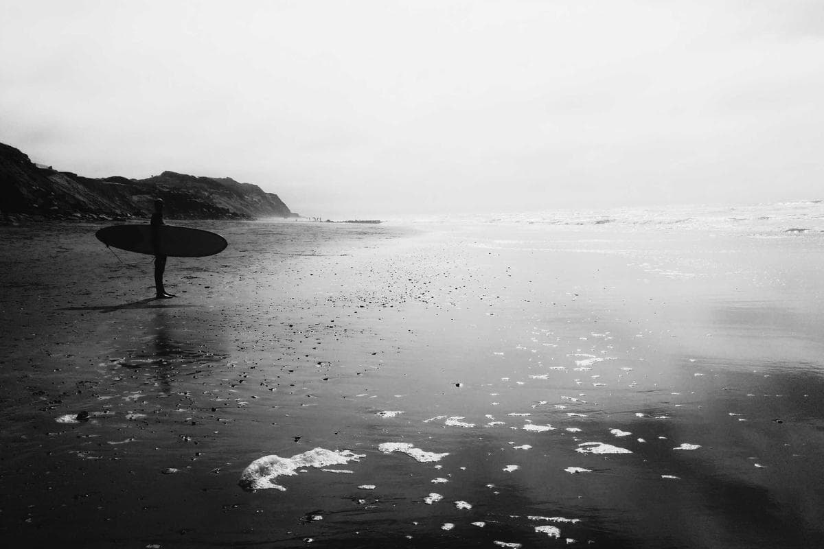 Sample Family Indie Showcase 80